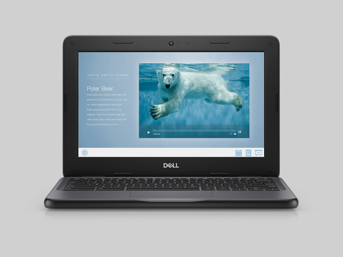 Dell Chromebook 3100
